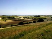 Country landscape in Marche